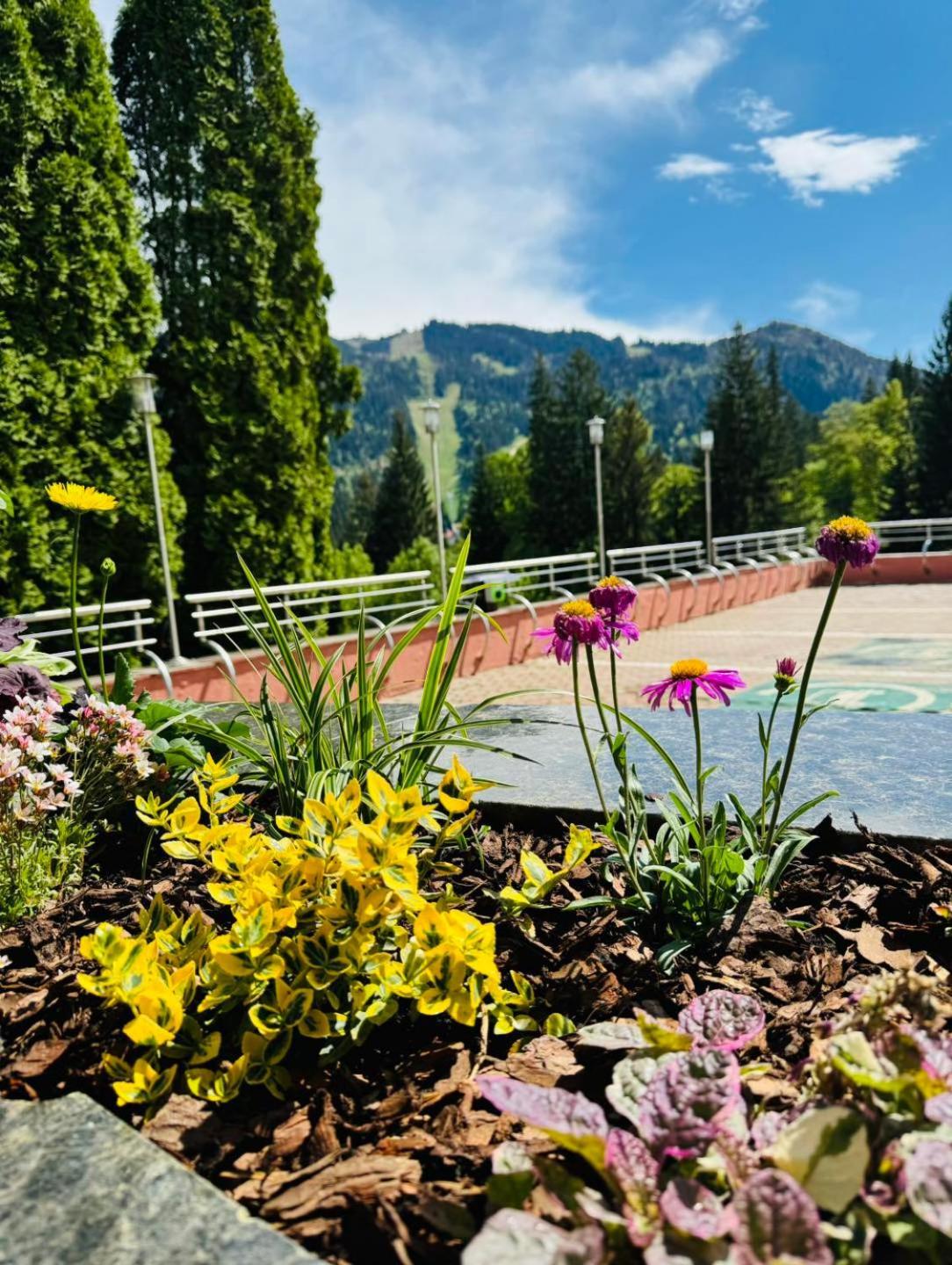 Hotel Piatra Mare Poiana Brasov Exterior photo